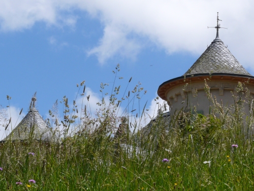 Autour de Château de la Cheyrelle