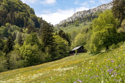 Autour des Pertes de la Valserine