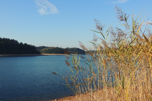 Journée au Lac de Pierre-Percée