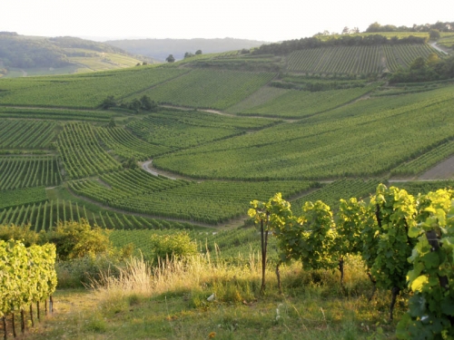 Randonnées dans la Région de Molsheim-Mutzig
