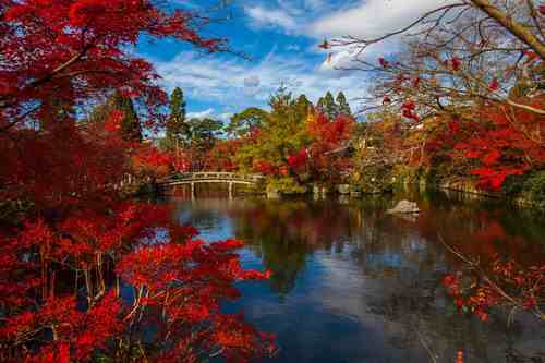 Tokyo : Les lieux à ne pas manquer durant l'automne ! 