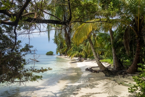 Grenade, l'île aux épices !